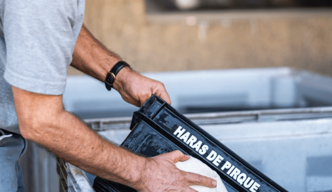 Produttore 2