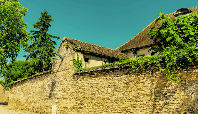 Saint-Jacques - Christophe Grandmougin — 2