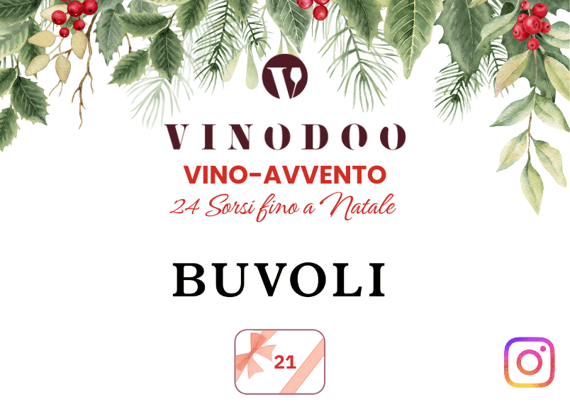 Dal Nostro Calendario dell'Avvento