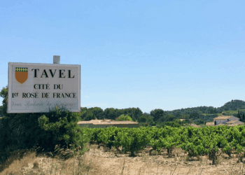 Approfondimenti
