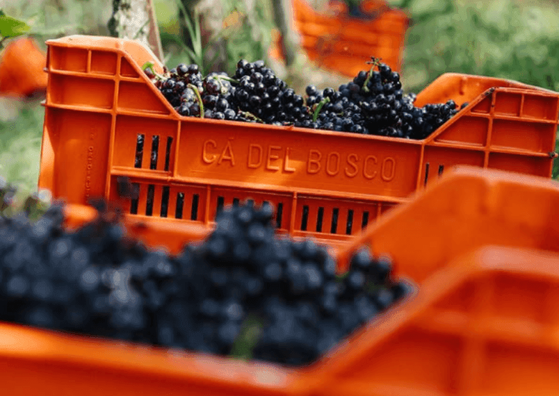 Franciacorta: Freschezza, finezza e territorio