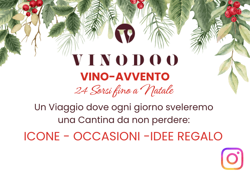 vinodoo.official