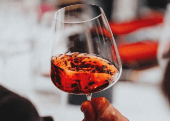 Alla scoperta del Valpolicella Ripasso