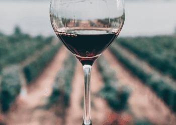 Vini Italiani nel Mercato del Lusso