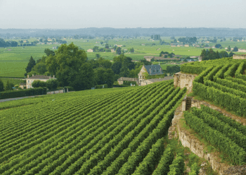 Bordeaux: Il Regno dell’Eleganza e della Potenza