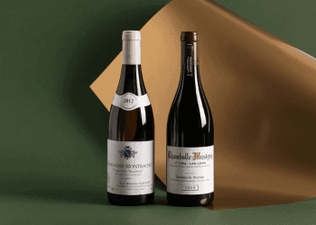 I Grandi Vini della Borgogna