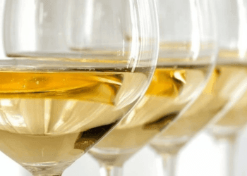 Quali sono i migliori vini bianchi da invecchiamento