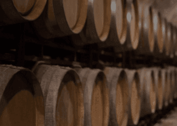 Come valutare un'annata nel vino tra terroir e produttore