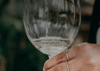Guida ai vini Sylvaner dell'Alto Adige