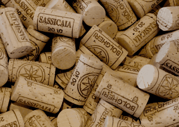 Sassicaia: Guida Completa 

