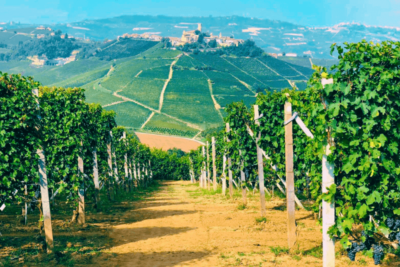 Cantina Bruno Giacosa