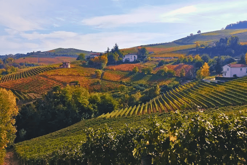 Cantina Rinaldi