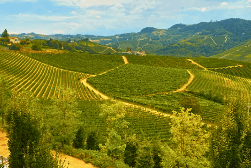 Cantina Massolino