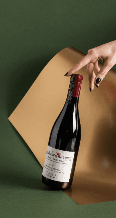 I Grandi Vini della Borgogna