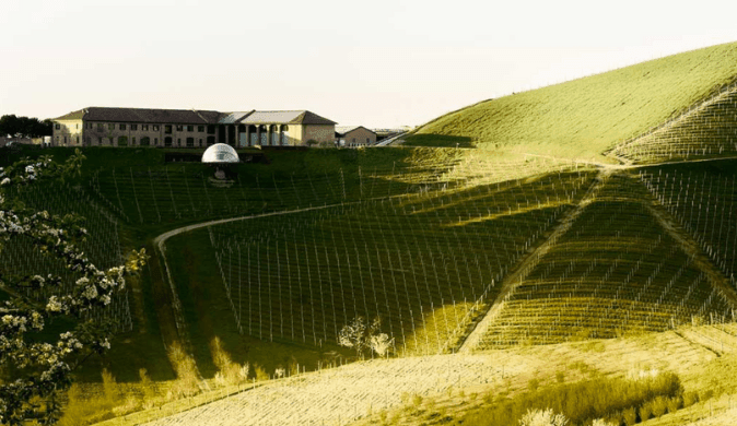 Cantine Ceretto