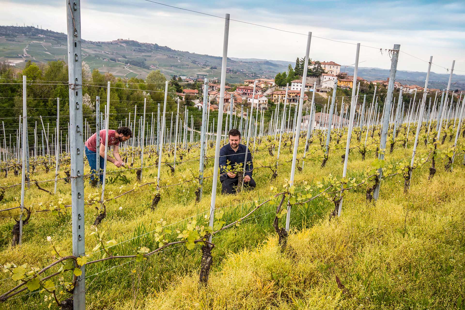 Cantina Raineri