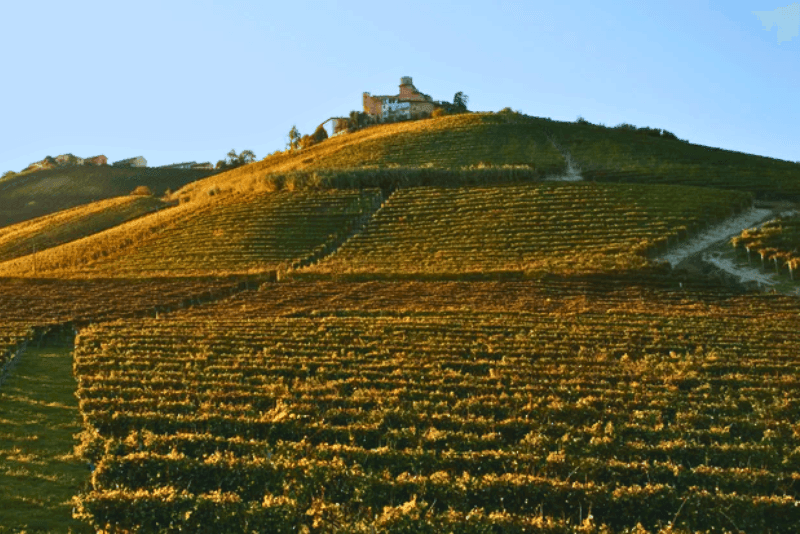 Cantina Vietti