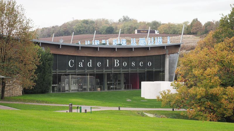 Ca' del Bosco