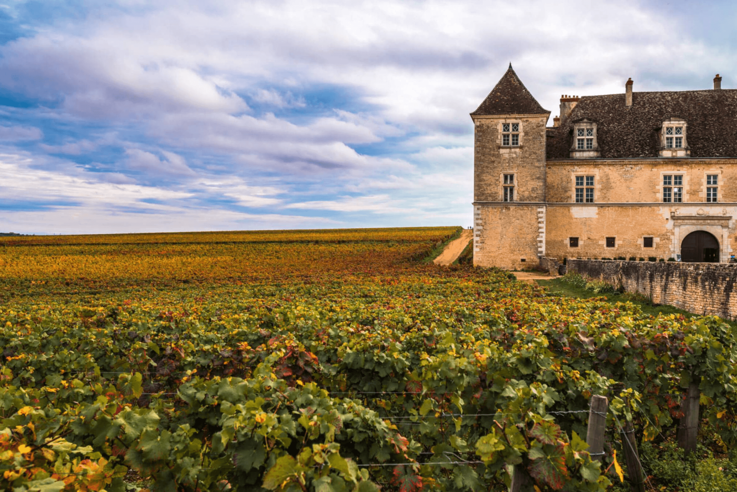 Chateau Charodon