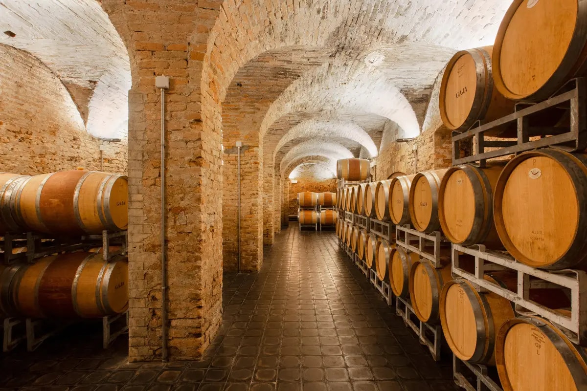Cantina Gaja