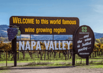Vini d'America: Una Storia di Innovazione e Carattere