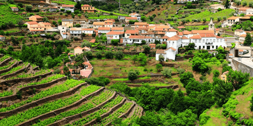 Douro, Alentejo e Vinho Verde: la viticoltura del Portogallo