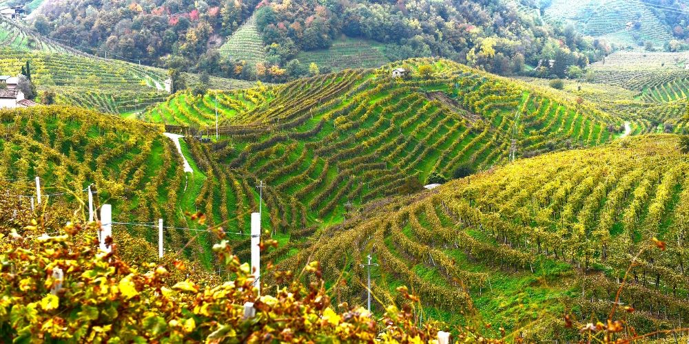 Veneto