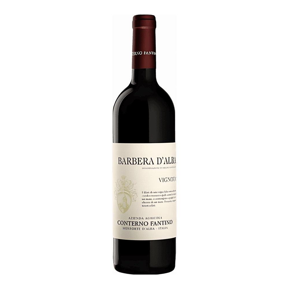 Conterno Fantino, Barbera d'Alba Vignota 2021, Bottiglia 750 ml