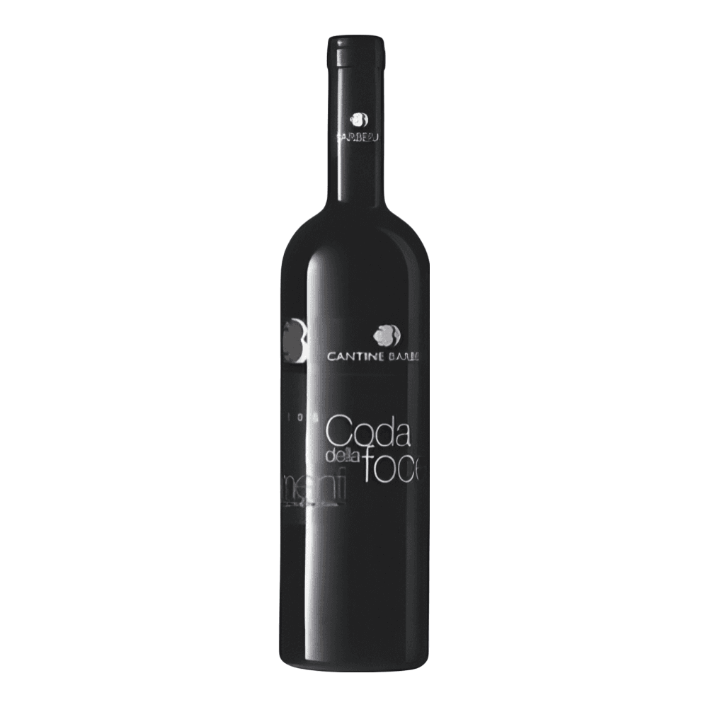Cantine Barbera, Menfi Rosso Riserva Coda della Foce 2011, Bottiglia 750 ml