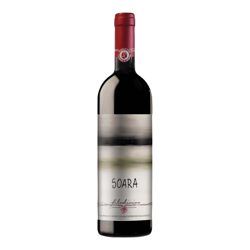 Filodivino, Lacrima di Morro d'Alba Superiore Soara 2015, Bottiglia 750 ml