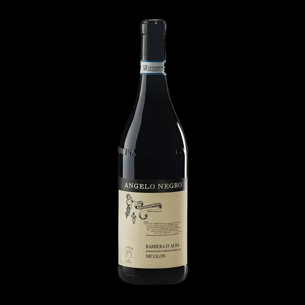 Angelo Negro, Barbera d'Alba Nicolon 2020, Bottiglia 750 ml