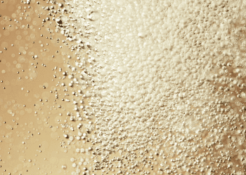 10 Migliori Champagne per festeggiare