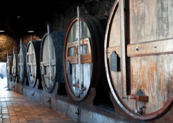 Cos’è l'affinamento del vino e come cambia il gusto