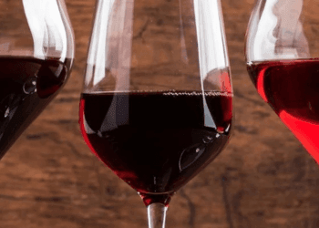 Merlot italiano o Merlot francese: cosa cambia nel bicchiere