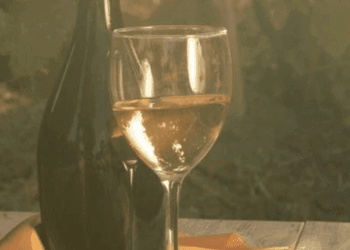 Guida ai Vini naturali: cosa sono e come riconoscerli