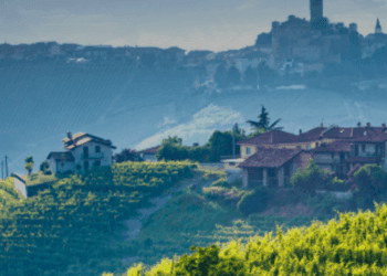 Approfondimenti