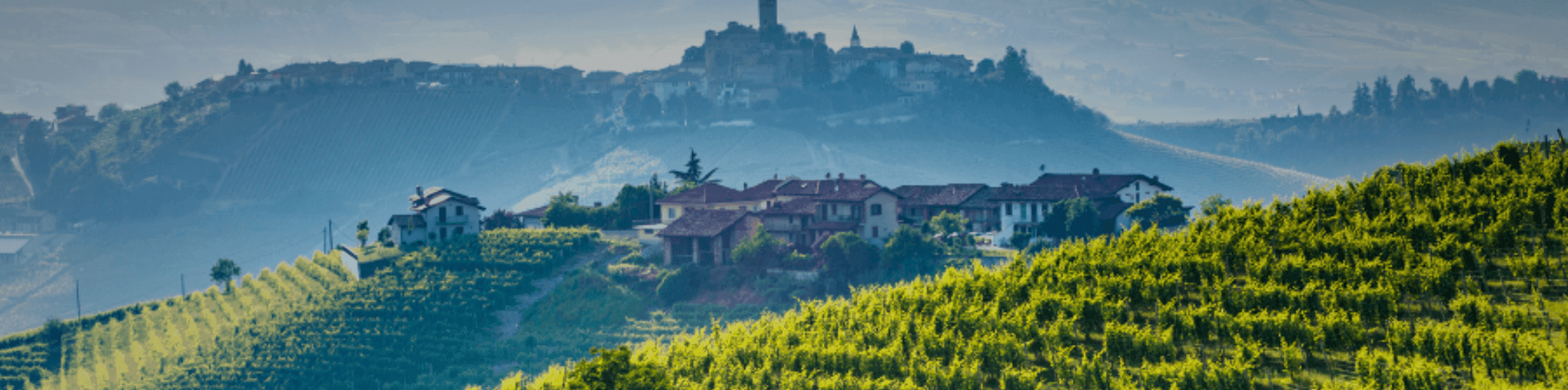 Approfondimenti
