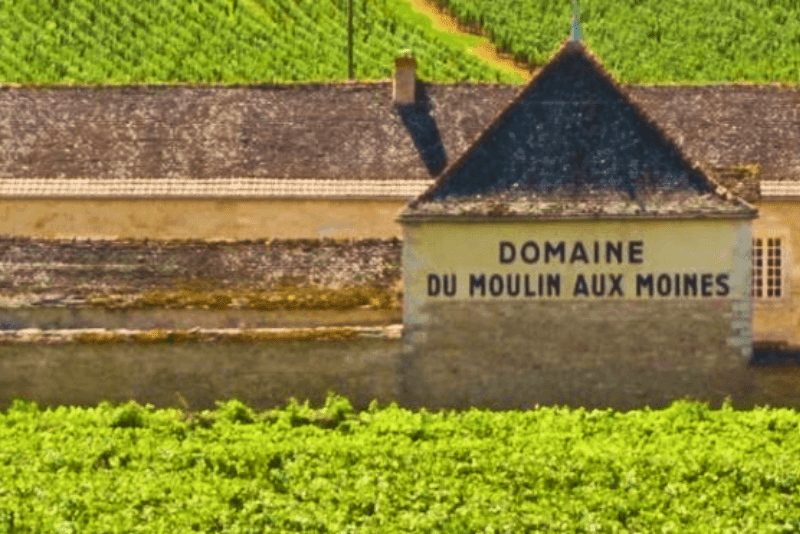 Domaine Clos du Moulin aux Moines