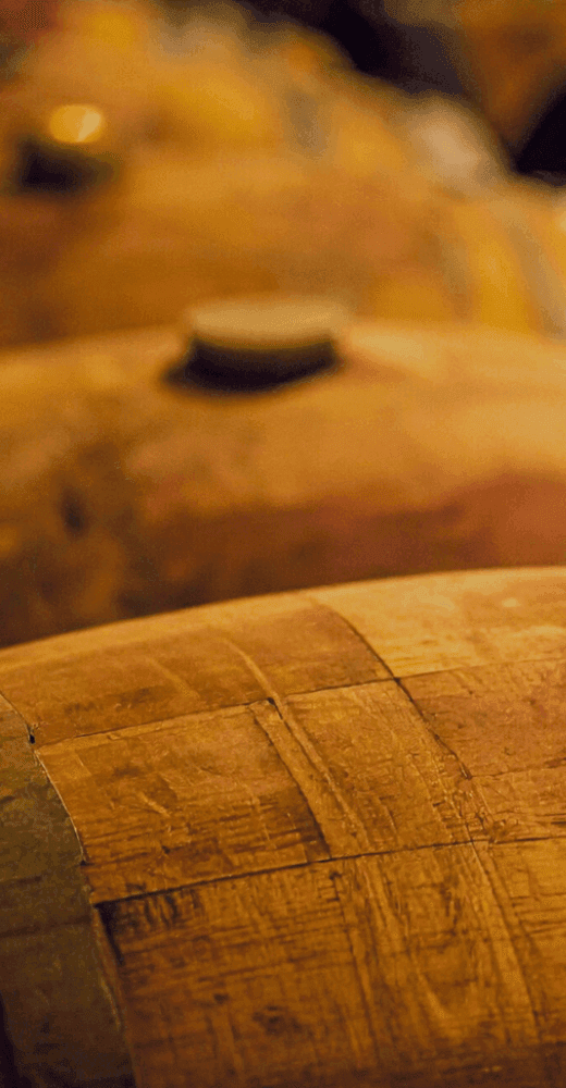 Più di 10.000 Etichette da tutto il Mondo!<br>Un catalogo che diventa esperienza.