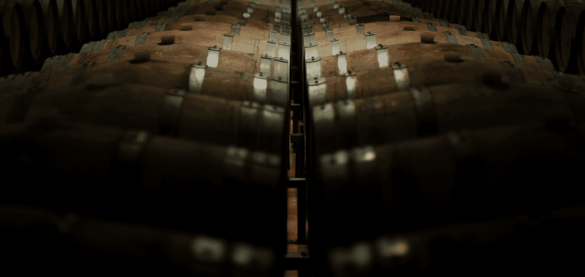 Più di 10.000 Etichette da tutto il Mondo!<br>Un catalogo che diventa esperienza.