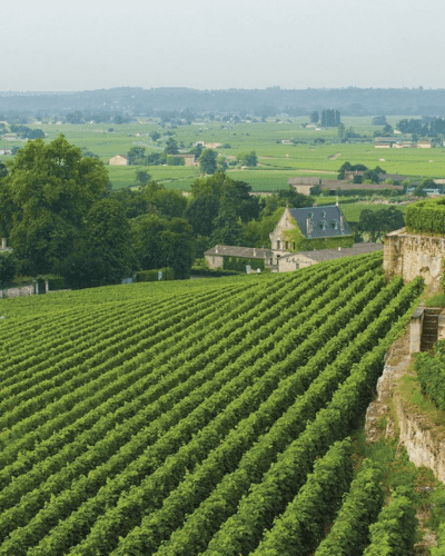 Bordeaux: Il Regno dell’Eleganza e della Potenza