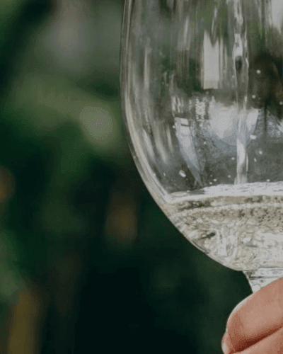 Guida ai vini Sylvaner dell'Alto Adige