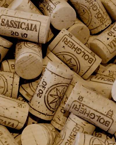 Sassicaia: Guida Completa