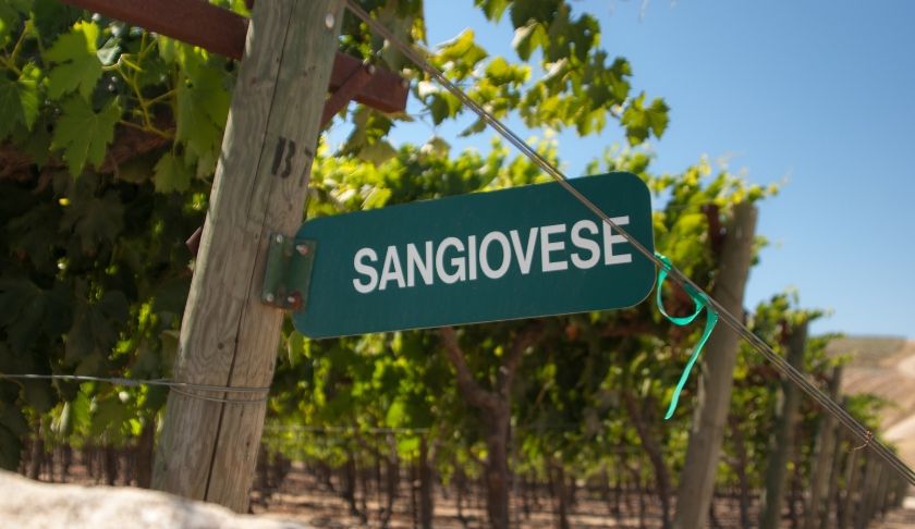 Sangiovese
